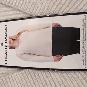 XL:  Hilary Radley Sparkly V Neck long sleeve sweater